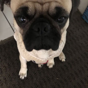 Meet your Posher, Christopher